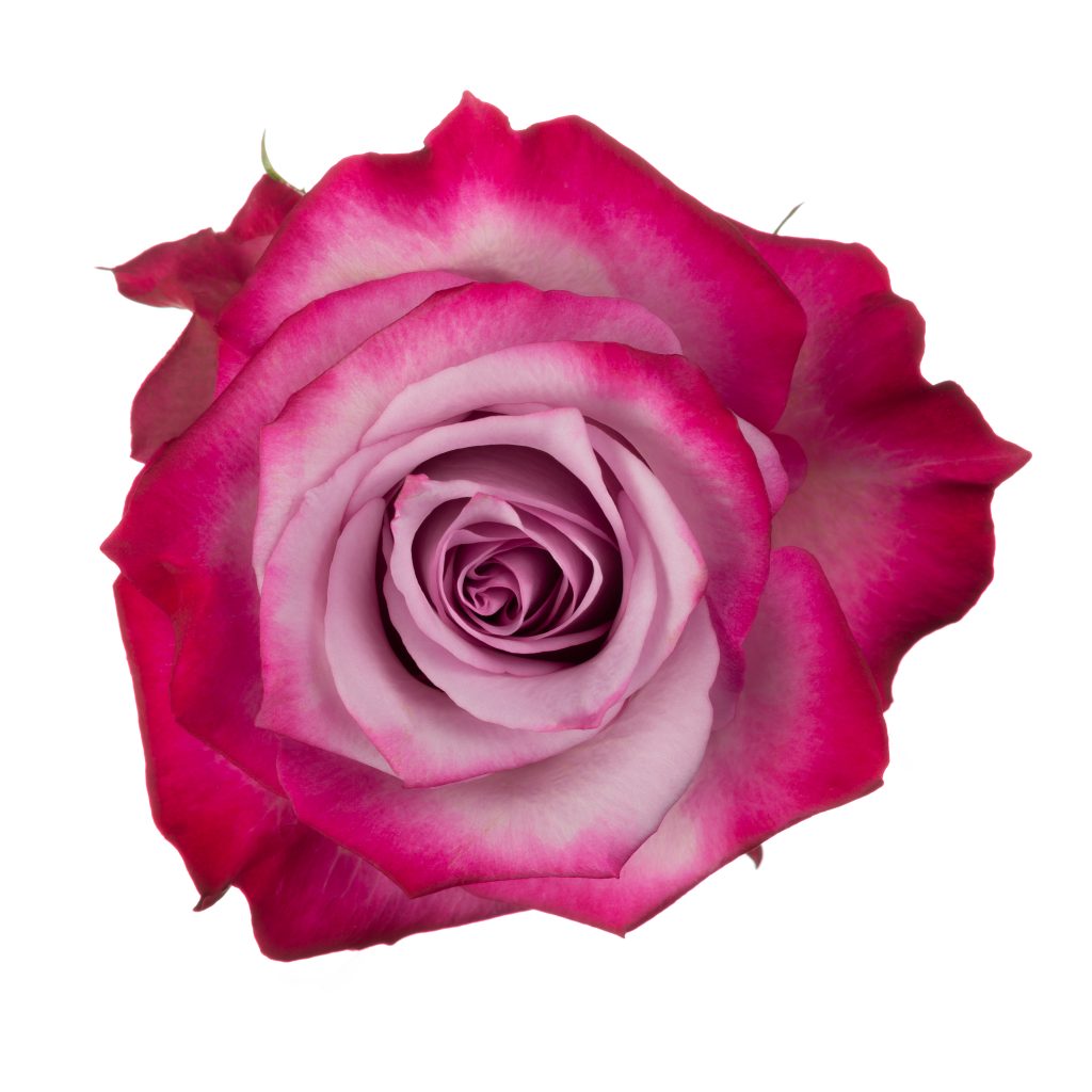 Deep Purple